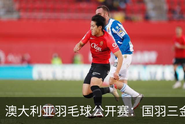 澳大利亚羽毛球公开赛：国羽三金两银收官